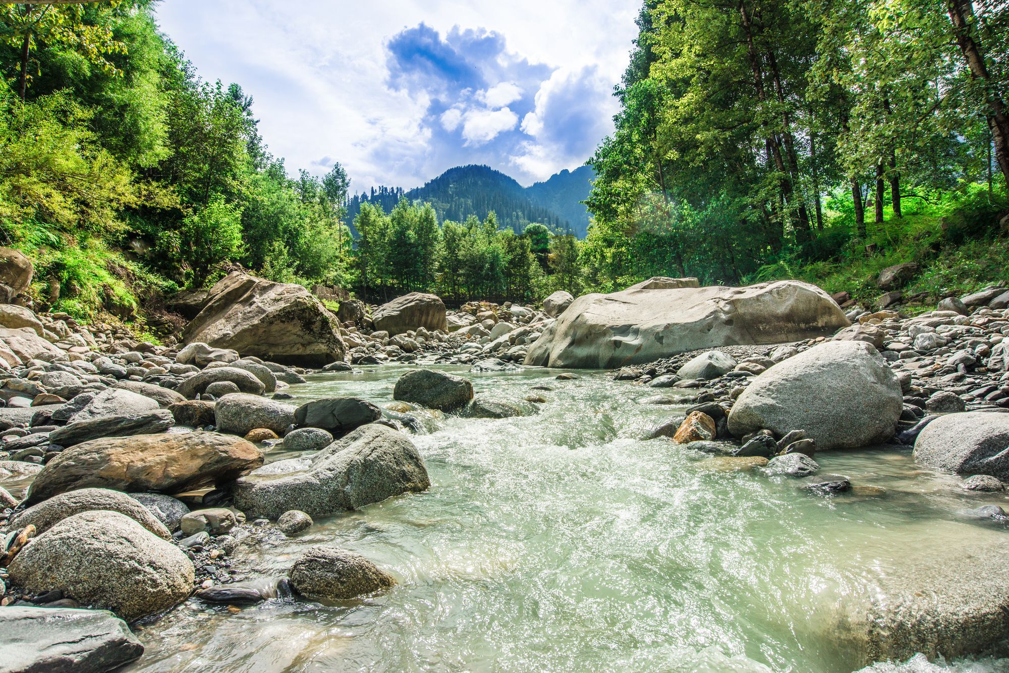 Solang Valley Resort Palchan Exterior photo