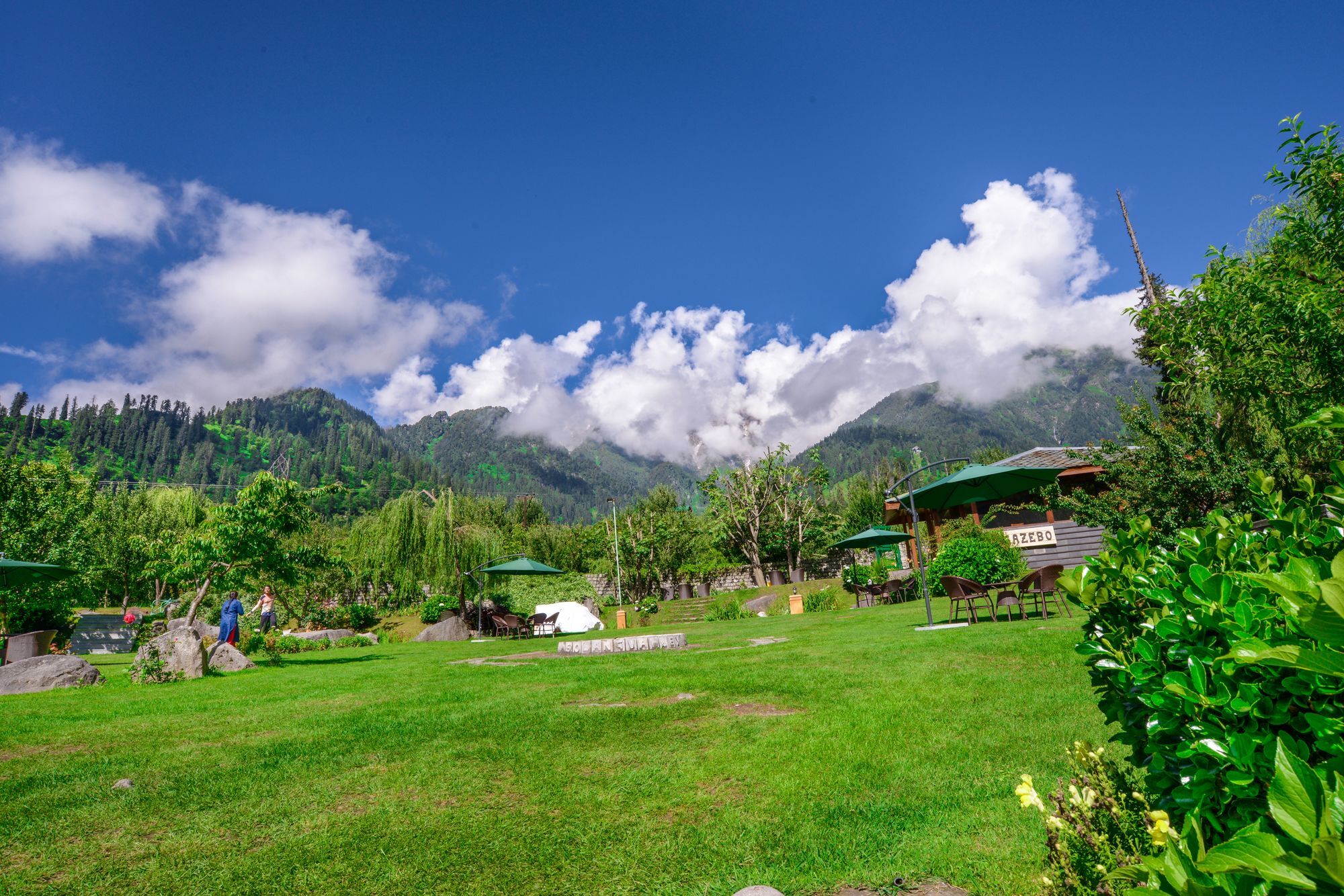 Solang Valley Resort Palchan Exterior photo