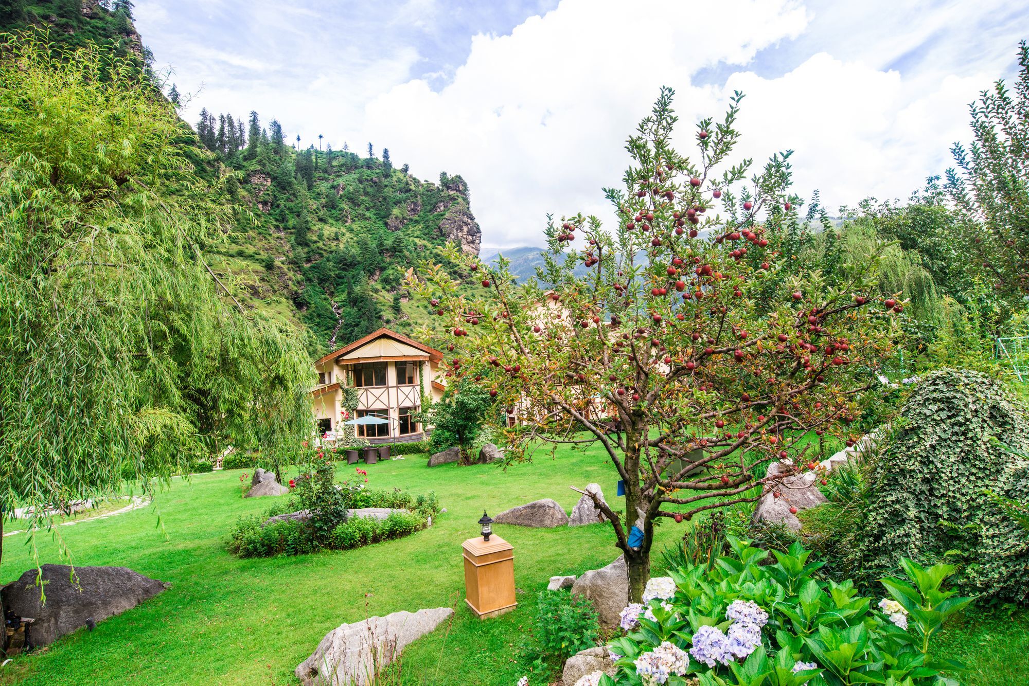Solang Valley Resort Palchan Exterior photo