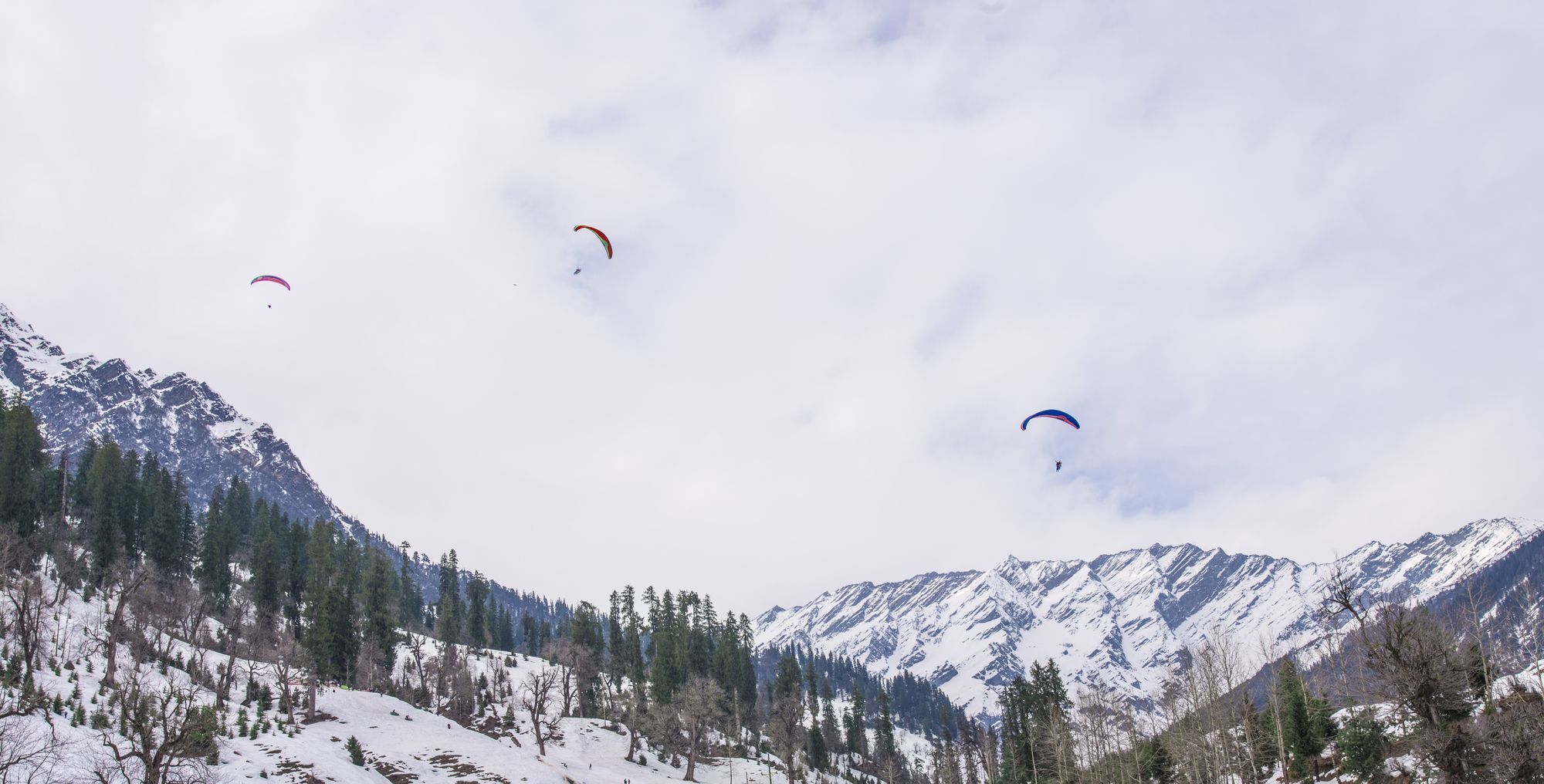 Solang Valley Resort Palchan Exterior photo